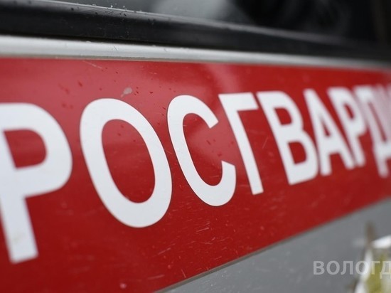 Нетрезвый житель Белозерска сел за руль автомобиля