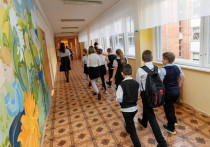 По информации пресс-службы правительства Псковской области, в школах, детских садах, организациях дополнительного и профессионального образования региона работают около 9 600 педагогов
