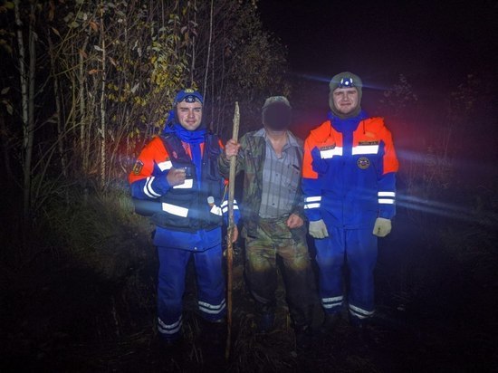 Спасатели искали одетого в хаки мужчину в лесу под Гатчиной в ночь на 12 октября