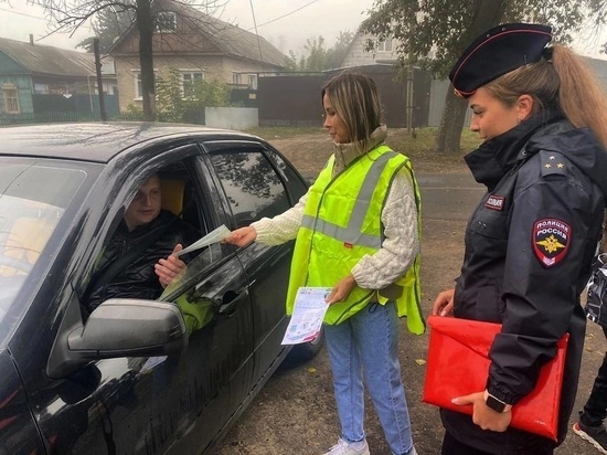 В Мичуринске родительский патруль «пристегнул самое дорогое»