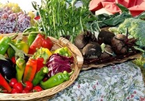 Сельскохозяйственный рынок планируют открыть в Краснокаменске