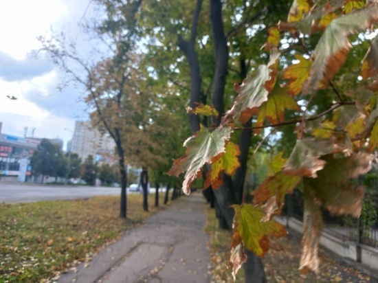 Погода в ДНР изменилась в сторону похолодания