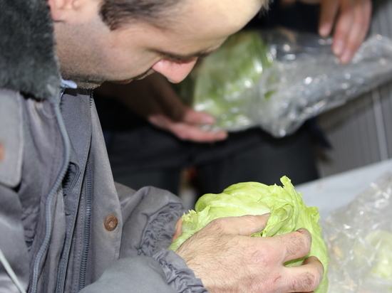 В Дагестане за месяц выявили 340 тонн заражённых овощей и фруктов