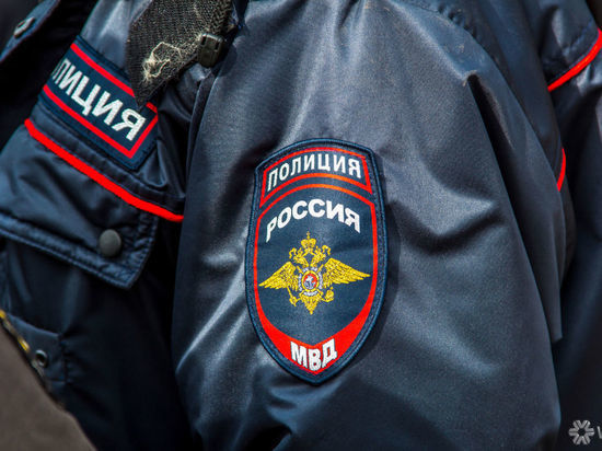 Озверевший пес убил двух собак и бросился на ребенка в Кузбассе
