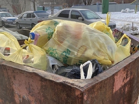 Барнаулец сдал мусорный бак на металлолом, потому что очень хотел курить