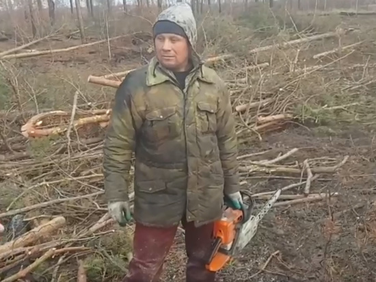 Комендант полигона ЛИИ попался на краже древесины после лесного пожара