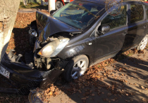 Накануне, утром 12 октября, на улице Школьной города Алексина Тульской области, 36-летняя женщина за рулём автомобиля марки "Nissan Note" совершила съезд с дороги на левую, по ходу движения, обочину и врезалась в дерево