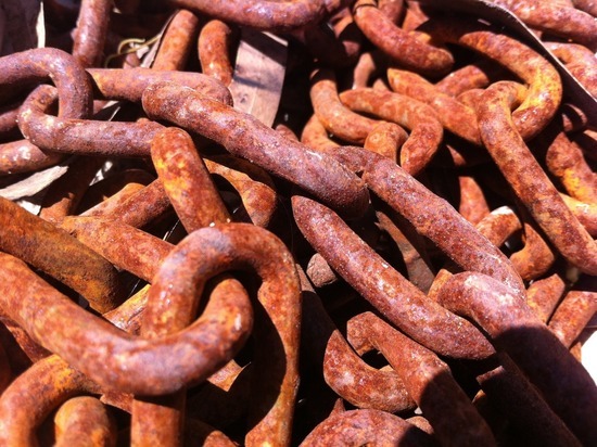 В Калининградскую область не дали провезти 8,5 килограммов мяса из Польши