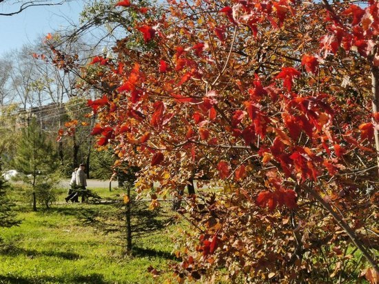 Озвучен прогноз погоды в Хабаровске на 14 октября