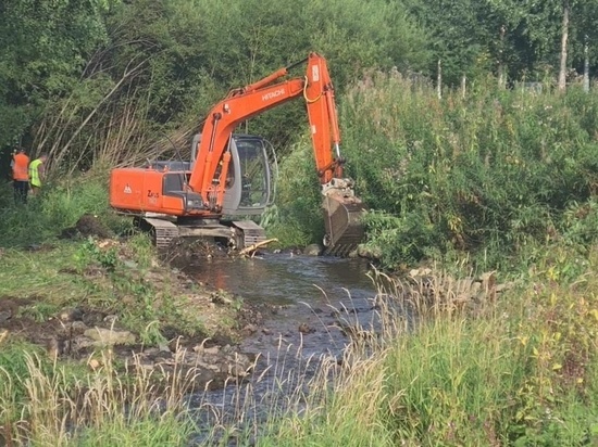 Русло реки Неглинки в Петрозаводске очистили от мусора