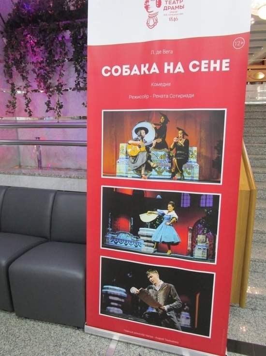 Речь идет о трагедии «Гамлет» и комедии «Собака на сене»