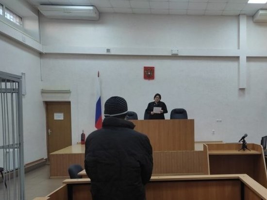 «Мне нужны твоя одежда, твой чехол от смартфона и два кролика-великана» – в Курской области осудили довольно необычного вора