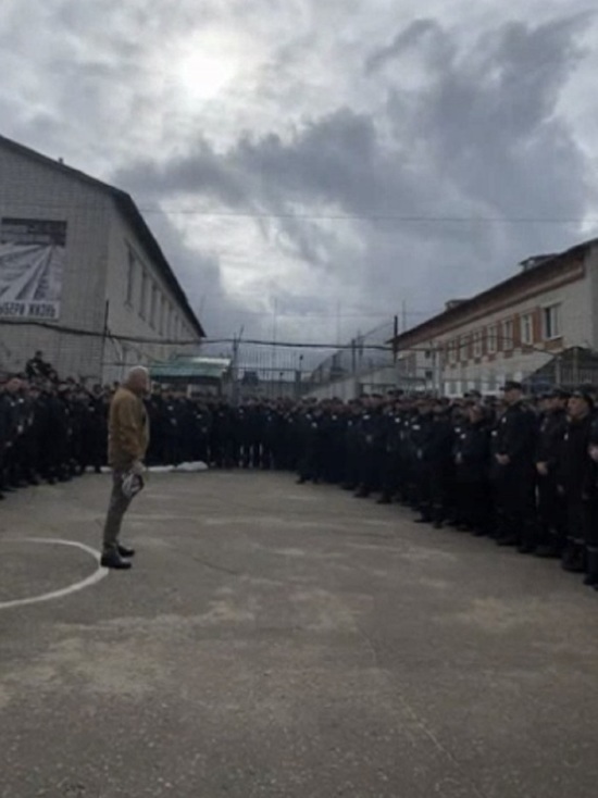 Ярославские сенаторы за то, чтобы заключенные могли уходить на войну