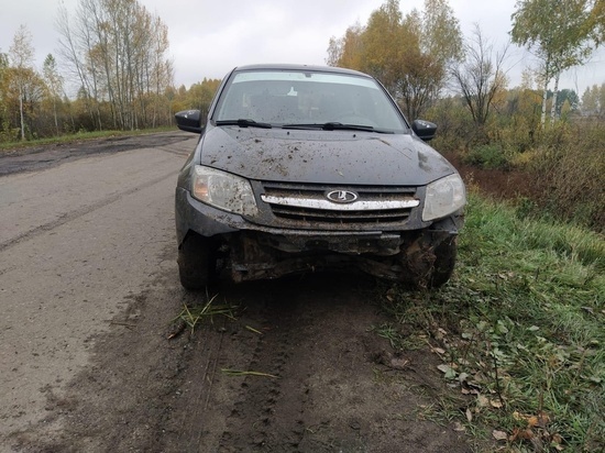 На трассе в Пичаевском районе автоледи слетела в кювет
