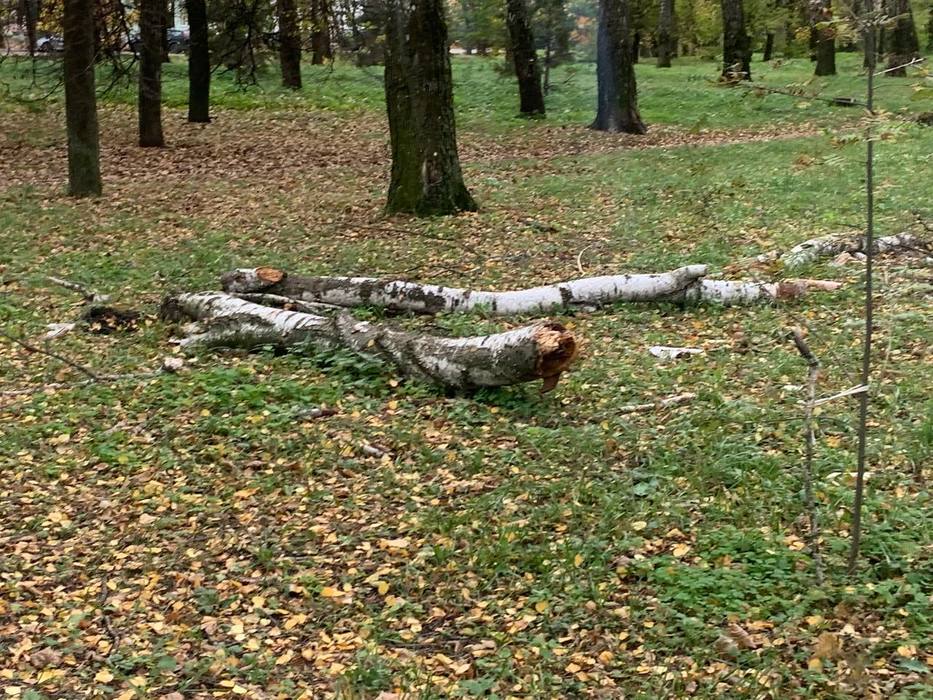Как проводятся работы по благоустройству Новомосковска