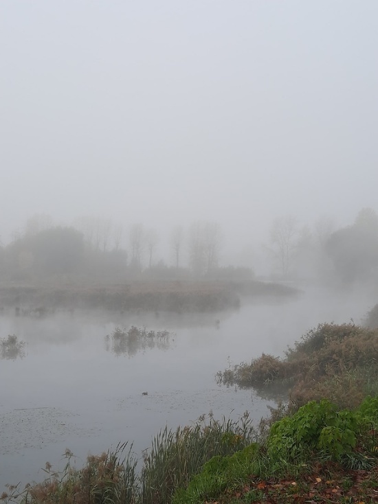 Сильный туман опять накроет Тверскую область