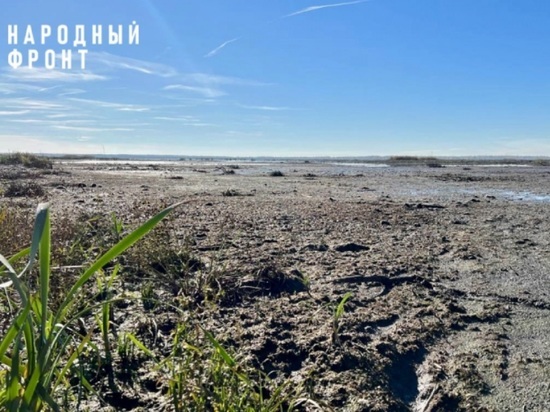 Ярославские экологи обеспокоены состоянием озера Яхробольское