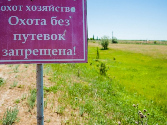 Житель Астраханской области задержан за незаконную охоту на фазана
