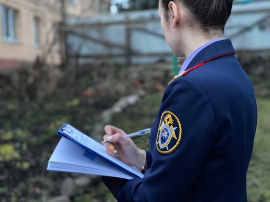 СК предъявил обвинение мужчине, жестоко убившему 20-летнюю новгородку