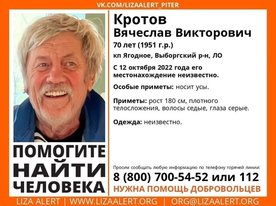 Пропавшего пенсионера из Выборгского района ищут четвертый день