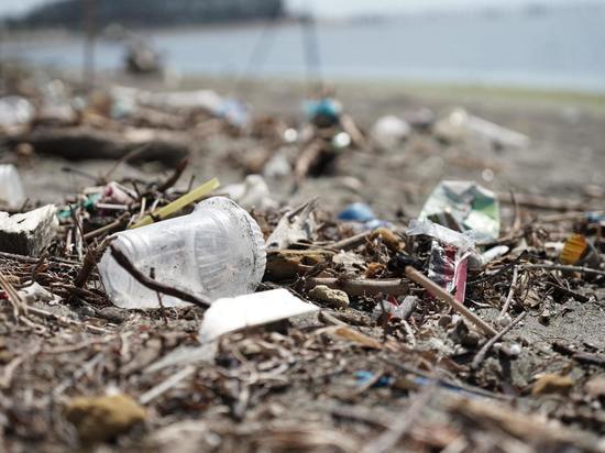 Арктический пляж уберут от мусора жители Мурманска