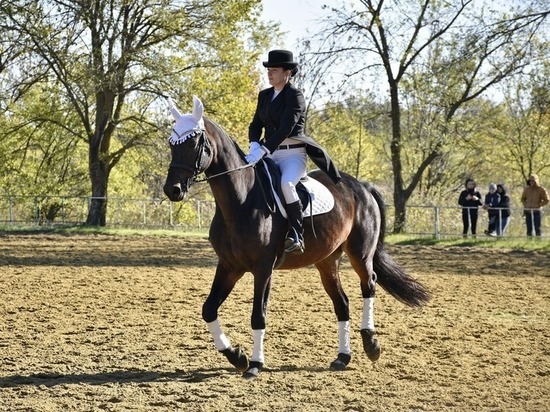 В Луганске прошел фестиваль конного спорта: ФОТО