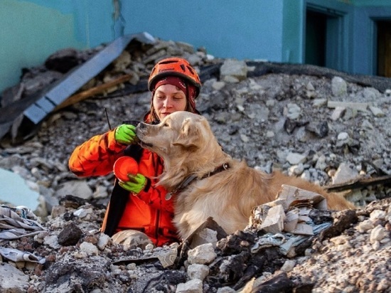 Костромские поисковики приглашают собаководов вступить в кинологическую поисковую группу
