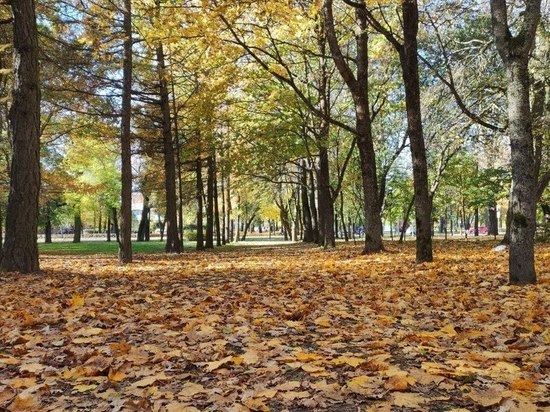 В Петербурге 17 октября воздух прогреется до +11 градусов