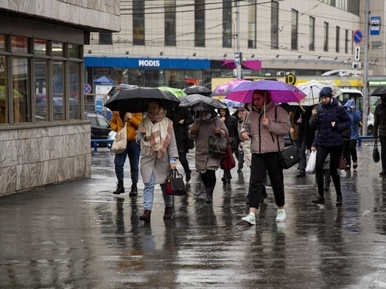 Похолодание до +7 и дождь с ветром ожидаются в Новосибирске в понедельник, 17 октября