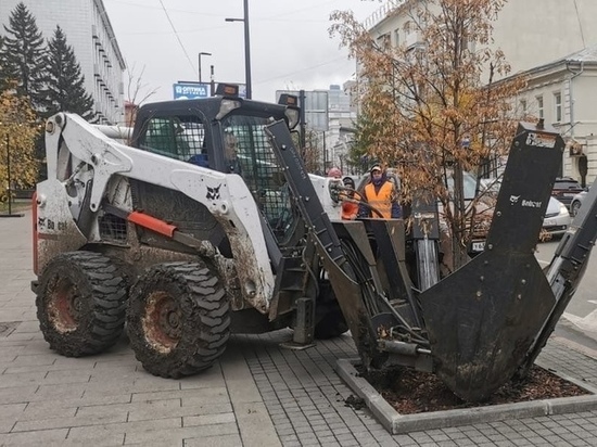 В Красноярске на Мира пересаживают деревья из-за плохой видимости дорожных знаков