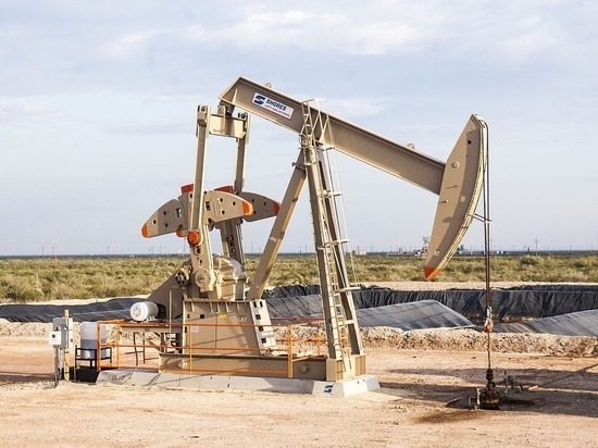 Стала известна причина остановки добычи нефти на «Сахалине-1»