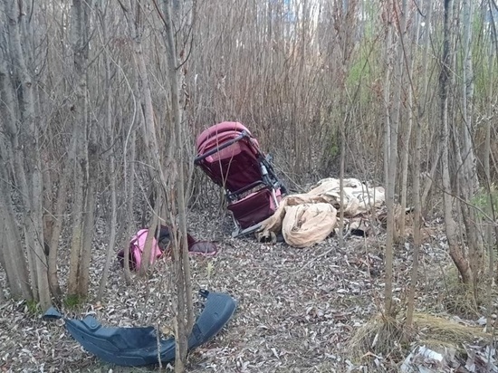 Огромную свалку из детских колясок и вещей обнаружили в Надыме