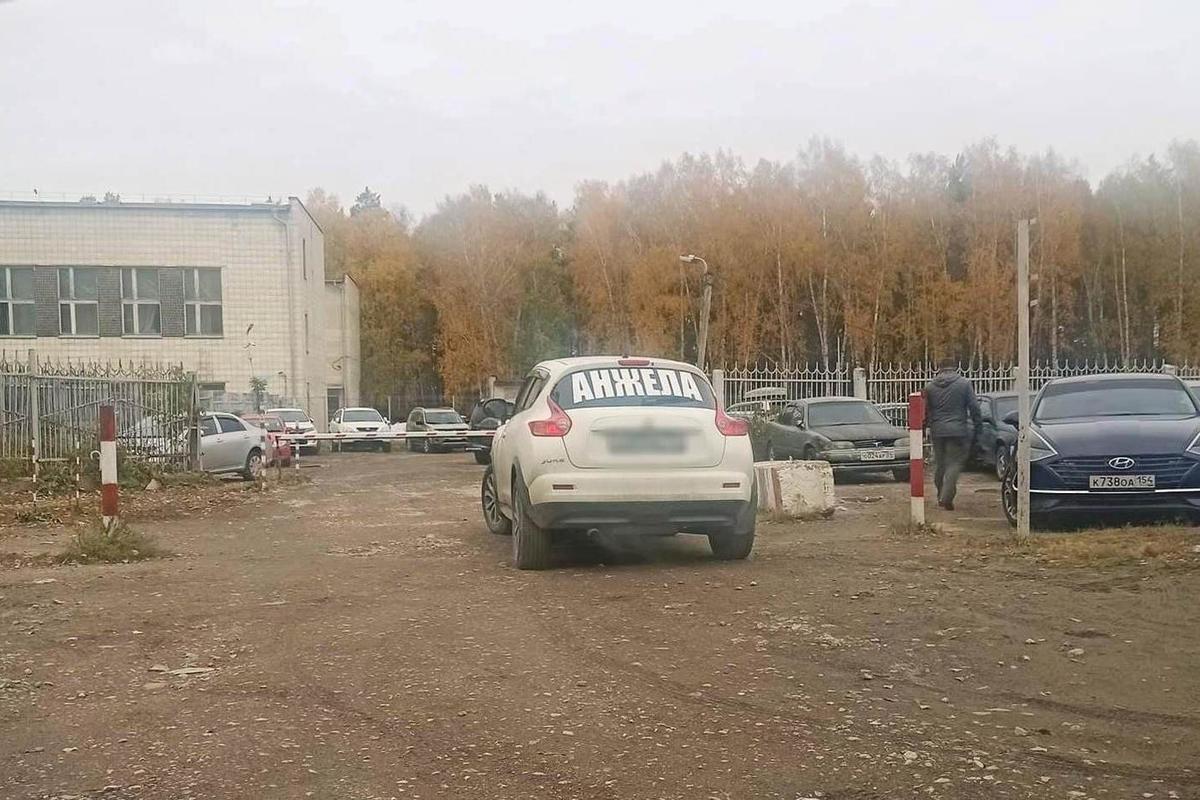 Проститутки вконтакте новосибирск медведь в кустах шлюха