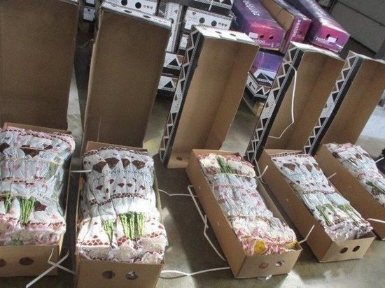 Коммерсант пытался скрыть 15 тысяч цветов от таможни в Екатеринбурге