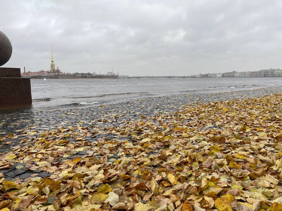 Петербург под ударом стихии: кадры затопленных набережных и сломанных зонтиков