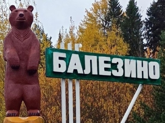 Скульптуру медведя установили на въезде в село Балезино