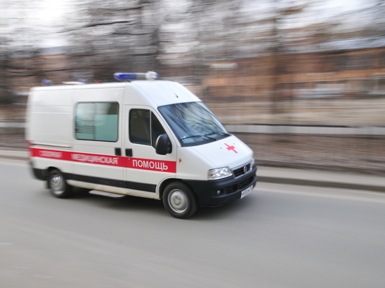 На трассе в Притамбовье столкнулись автобус и грузовик: есть пострадавшие