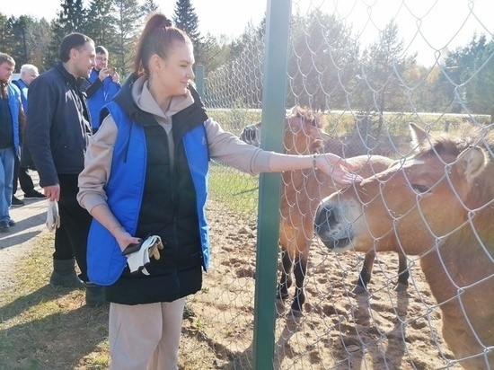Смоленские энергетики побывали в гостях у лошадей Пржевальского