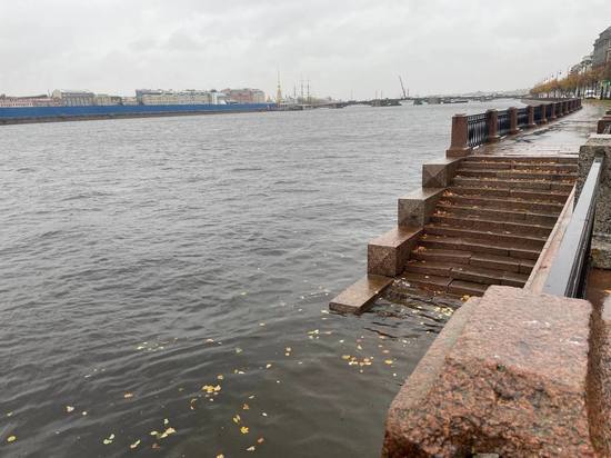 Уровень воды в Неве возле Горного института поднялся до 122 сантиметров в понедельник
