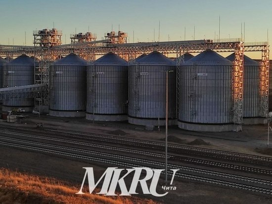 Метод таможенного контроля на зерновом терминале назвали в Забайкалье
