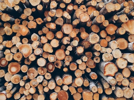 РСТ утвердила максимальные цены на дрова в Забайкальском крае