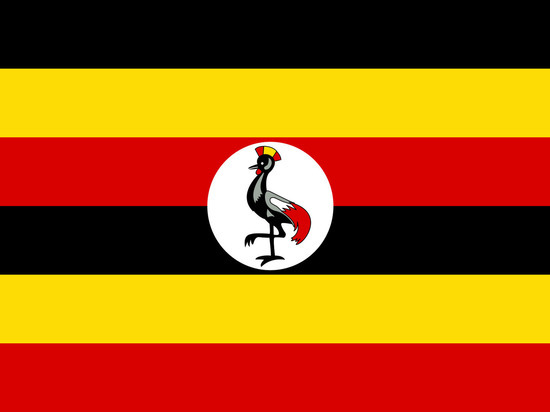 Уганда готова поставлять в Россию электромобили собственного производства