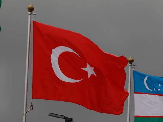 Турция заявила, что предпосылок для встречи Путина и Зеленского нет