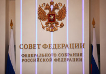 В Совете Федерации не планируют отменять прямые трансляции пленарных заседаний в интернете