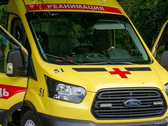 В Железногорске Курской области в ДТП ранение получил 10-летний ребенок