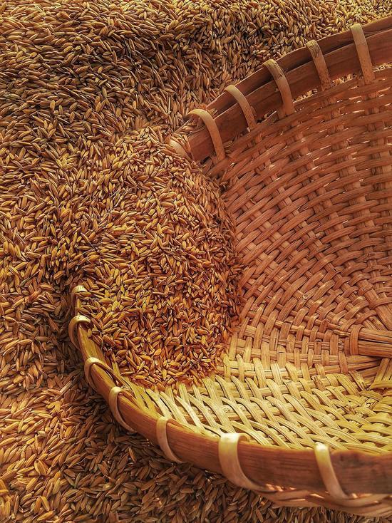 Кормовое зерно с нарушениями доставили в Мурманскую область