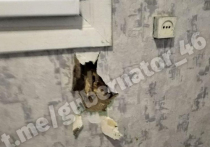Губернатор Курской области Роман Старовойт сообщил, что "сегодня ВСУ также обстреляли и приграничные села Суджанского района"