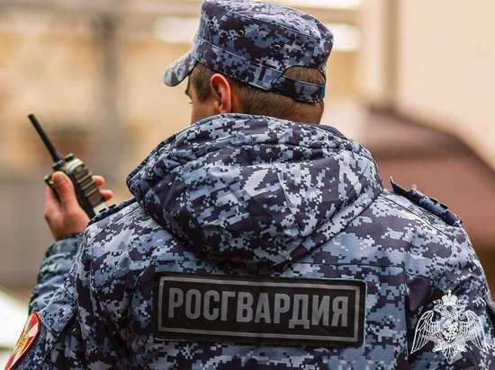 В Тамбовской области изъяли ещё 24 единицы нелегального оружия