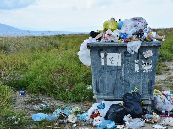 «ЭкоАльянс» оштрафовали за невывоз мусора в микрорайоне Улан-Удэ