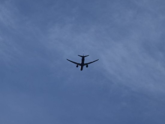 Первые рейсы запланированы на 6 ноября 2022 года